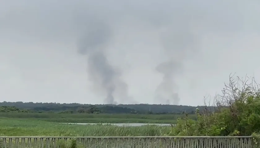 Dos columnas de humo en el parque Isla Salamanca. 