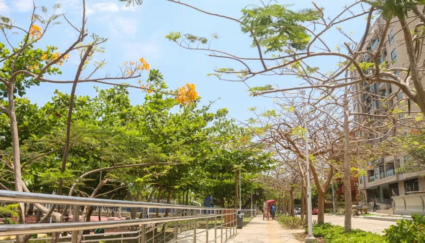 Uno de los parques de Barranquilla. 