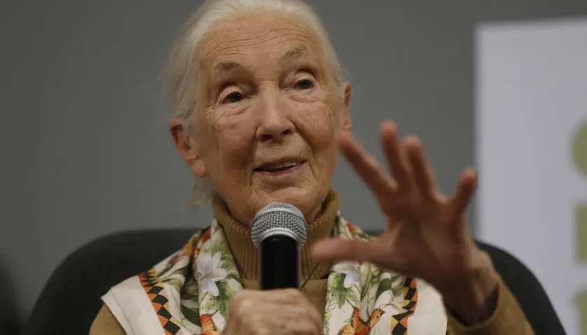 La primatóloga y activista británica Jane Goodall.