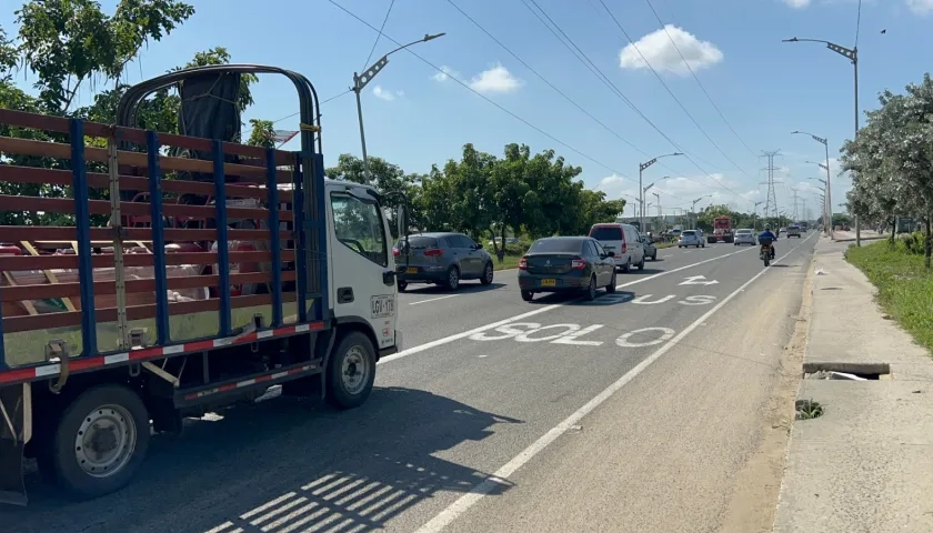 Carril 'Solo Bus' en la avenida Circunvalar.