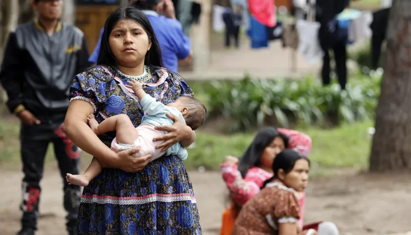 Regresaran al municipio de Pueblo Rico, en el departamento de Risaralda. 