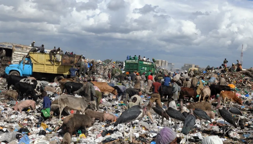 Vertedero de basura. 