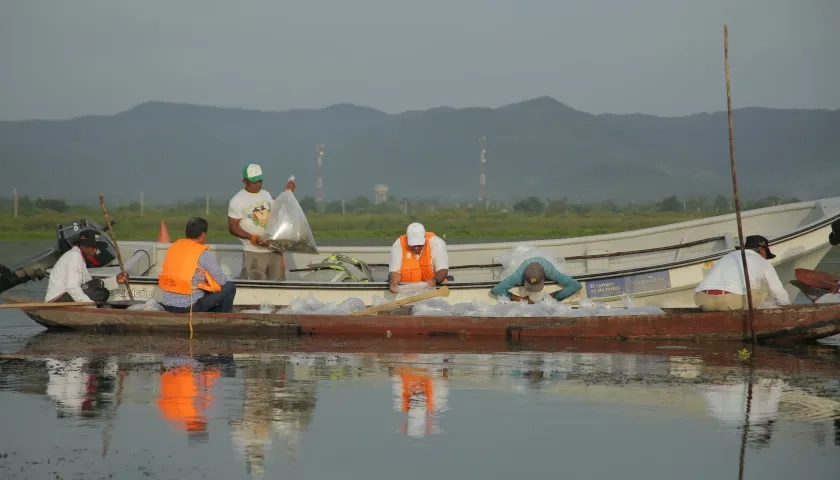 Jornada de repoblamiento de alevinos en el embalse El Guájaro.