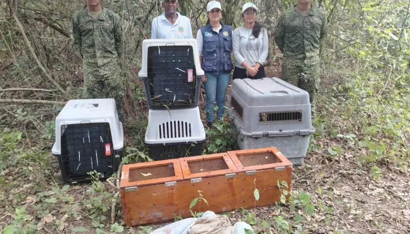 Miembros de la Armada de Colombia, junto a integrantes de la Corporación Autónoma Regional del Canal del Dique (CARDIQUE). 