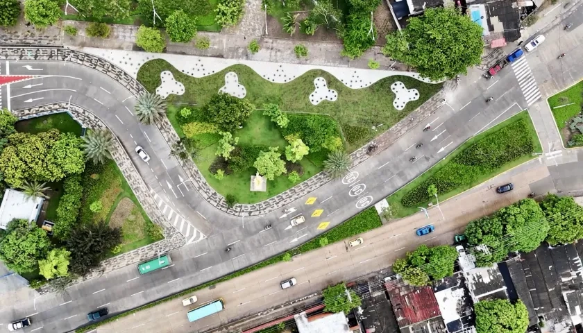 Panorámica de árboles sembrados en Barranquilla.