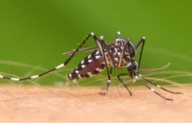 Los casos de dengue están disparados en Barranquilla y el Atlántico.