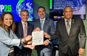 Costa Rica, Colombia, Ecuador y Panamá conservarán el corredor marino del Pacífico Este Tropical. 