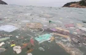 Los mares se han contaminado de muchos residuos.