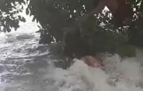 Dos menores se salvaron en el arroyo de Siape.