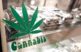 Brownies de cannabis en un mostrador, en una fotografía de archivo
