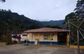 Vereda Buenavista, Ciudad Bolívar (Antioquia). 