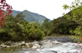 Bioma amazónico.