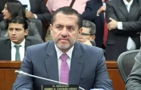 El senador Mario Castaño.
