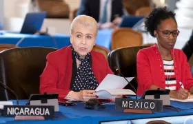 La representante permanente de México, Luz Elena Baños, habla ante la OEA