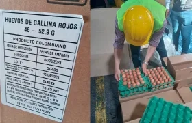 La primera exportación de huevos a Cuba salió ayer lunes.