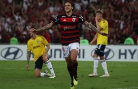 Pedro de Flamengo. 