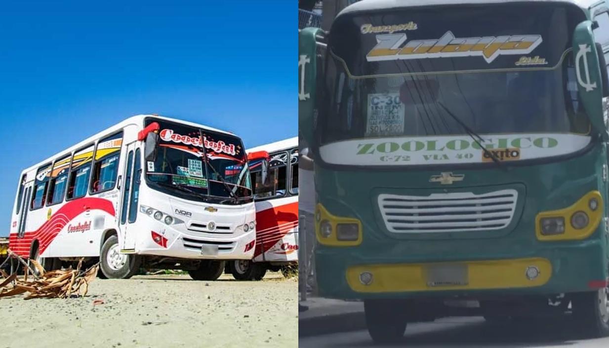 Buses urbanos de Coochofal y Transporte Lolaya. 