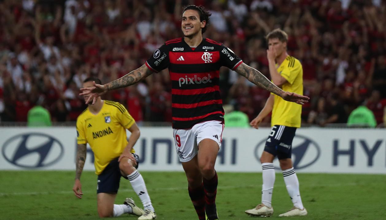 Pedro de Flamengo. 