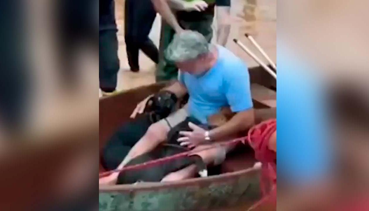 Hombre rescató a sus cuatro perros.