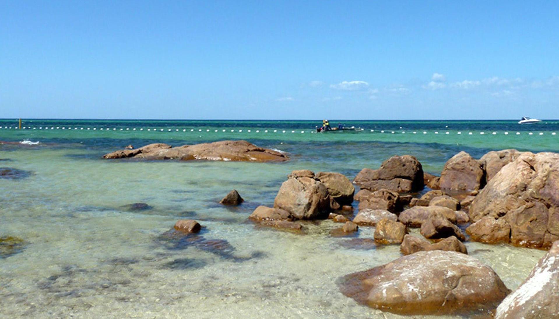 Playa australiana con protección de los tiburones.