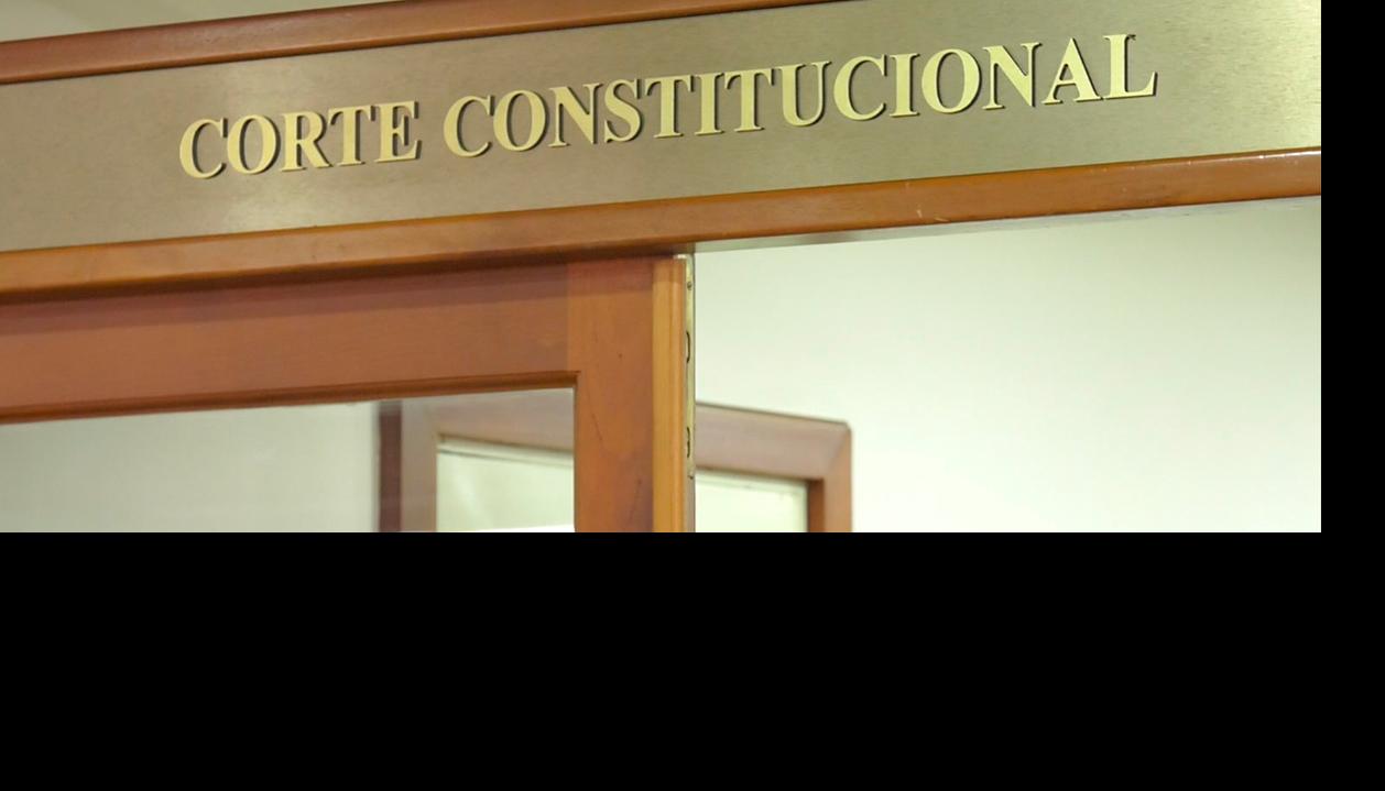 Corte Constitucional.