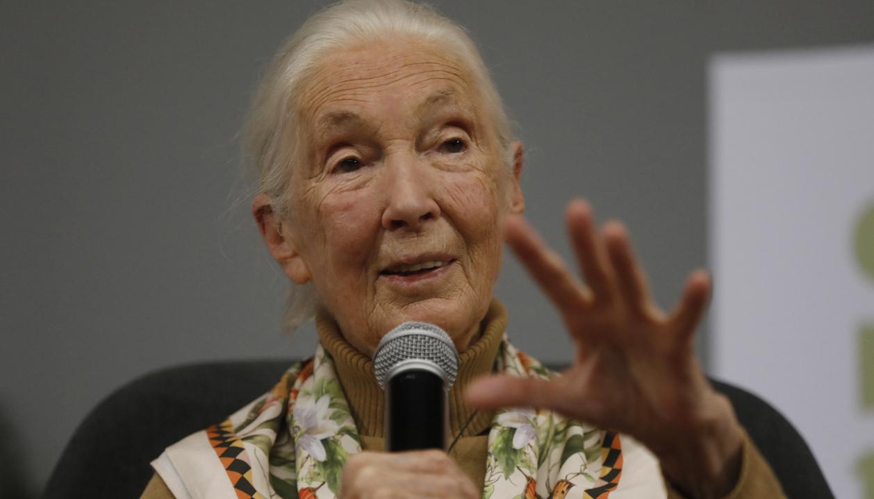 La primatóloga y activista británica Jane Goodall.