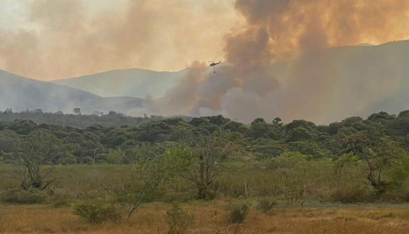 Incendio forestal.