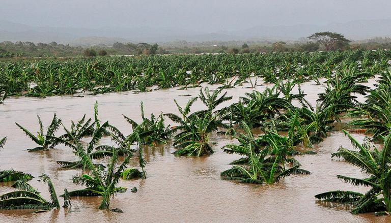 Inundación en Haití por fenómeno de 'La Niña'.