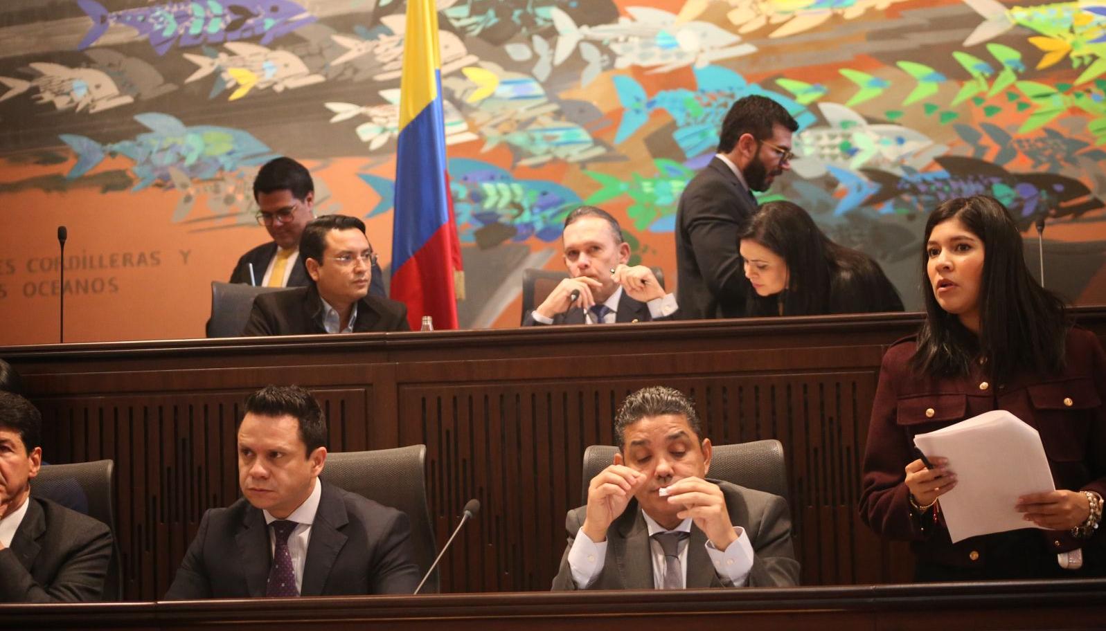 En el fondo, el presidente del Senado, Efraín Cepeda.