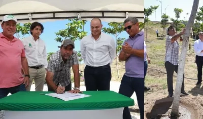 Se firmó un convenio para la siembra masiva de árboles adultos en el Área Metropolitana.