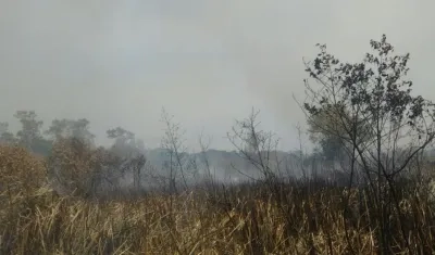 Incendio de cobertura vegetal en Parque Isla Salamanca.