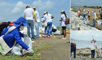 Fotografías de la jornada de limpieza en las playas.