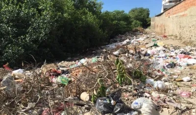 La recolección y tratamiento de basuras y escombros en Cartagena en la mira de la Procuraduría.