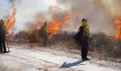 Bomberos tratan de controlar el gigantesco incendio en Los Ángeles.