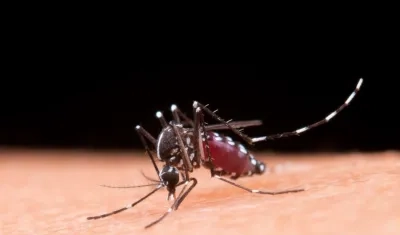 El dengue grave ha causando la muerte de 22 niños en Cartagena.