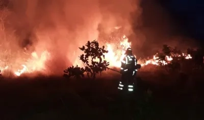 Aspectos del incendio forestal en el Parque Nacional El Tuparro, Vichada.