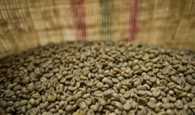 Entre enero y febrero del presente año la cosecha cafetera alcanzó los 2,3 millones de sacos.