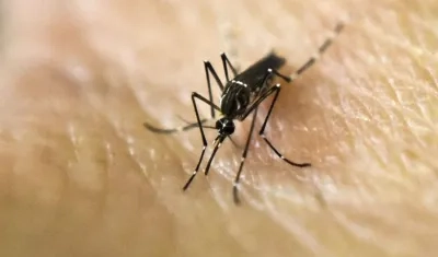 El dengue sigue presente en el país y es una prioridad en salud pública a nivel nacional.