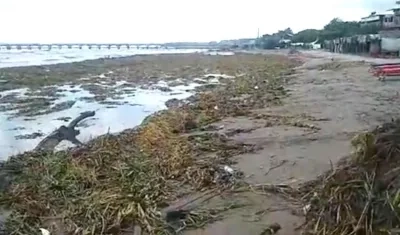 Los residuos sólidos se han convertido en un grave problema de contaminación ambiental en Puerto Colombia.