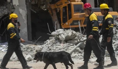  Varios rescatistas conducen a un perro durante las labores de rescate en el destruido hotel Saratoga, que continúan hoy, en La Habana (Cuba). 