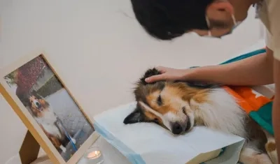 El dueño de un perro se despide de su mascota fallecida durante un funeral en la tienda de mascotas Rainbow Planet en Pekín,