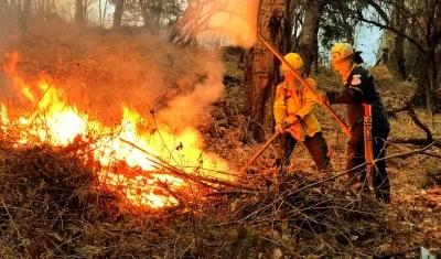 Imagen de referencia de incendios forestales