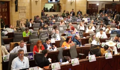La plenaria del lunes aprobó un tercio de los artículos de la Reforma a la Salud