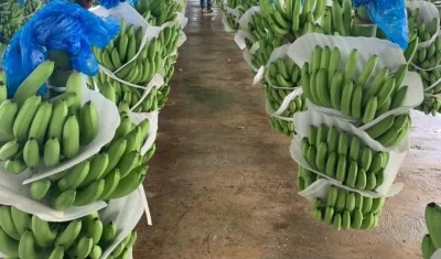 Imagen de los cultivos de Chiquita Brands
