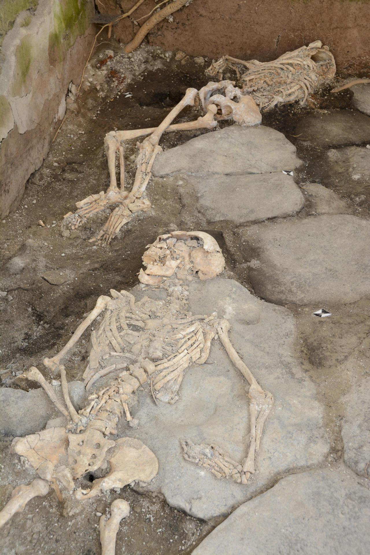 Esqueletos hallados en Pompeya. 